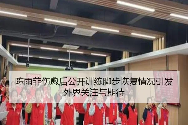 陈雨菲伤愈后公开训练脚步恢复情况引发外界关注与期待